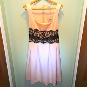 ASOS NWT dress, size 12